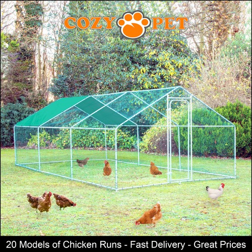 Chicken run sizes cozy - by,
