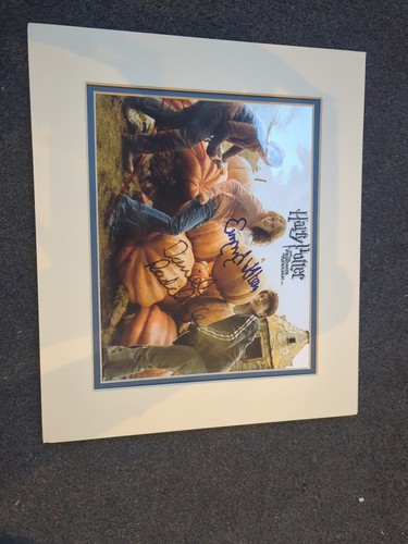 Harry potter picture signed - harry,