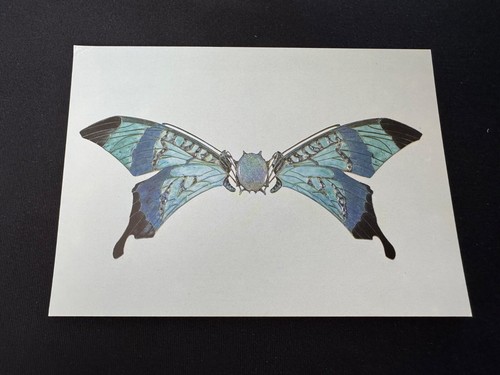 Rene lalique butterfly - butterfly, buckle