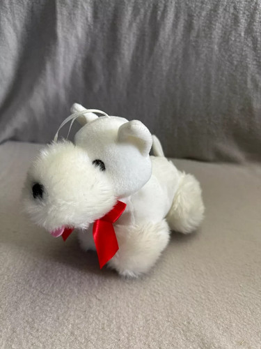 Senza small white puppy dog - la,