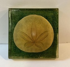 Vintage sand dollar incased - sand,