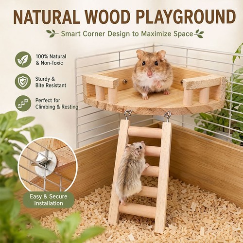 Large tier hamster - hamster, wooden