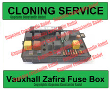 CLONING SERVICE for 13268305