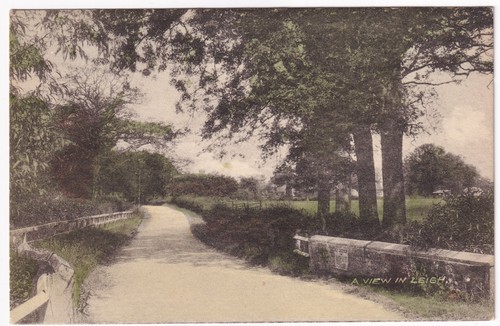 Leigh surrey postcard view - leigh,
