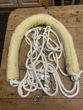 Genuine Pessoa Lunging