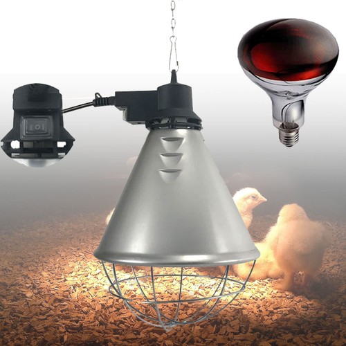 250w infrared heat lamp with - infrared,