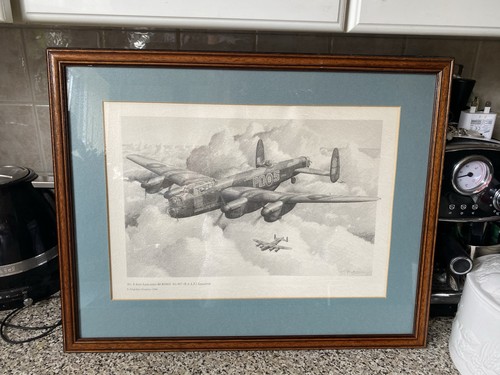 Large vintage framed avro - large,