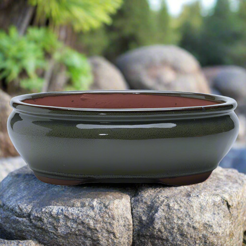 26cm glazed bonsai - pot, |