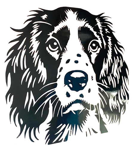 English spaniel cocker - 1x,