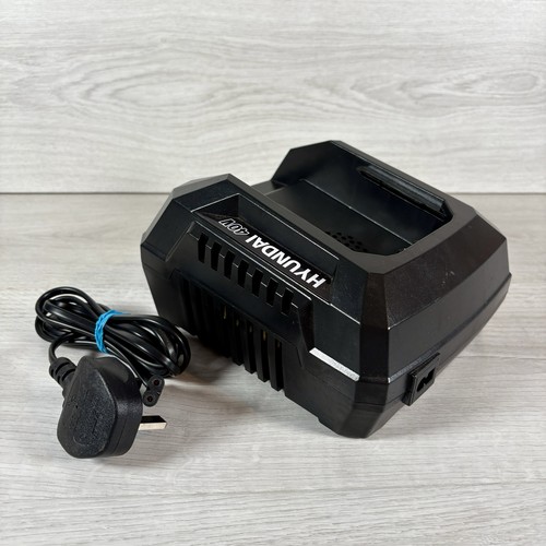 Hyundai 40v fast charger - hyundai,