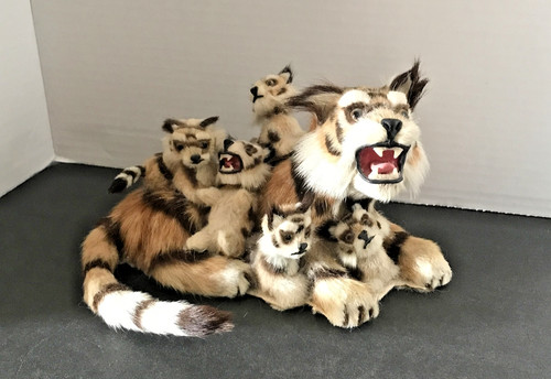 Vintage tiger baby - tiger,