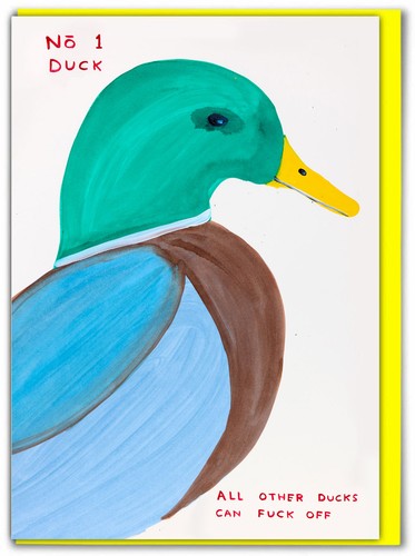 David shrigley birthday card - shrigley,