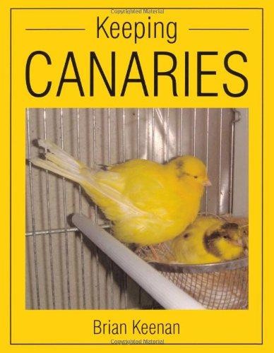 Keeping canaries keenan - canaries,