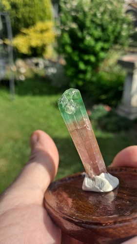 Watermelon tourmaline - tourmaline, bi