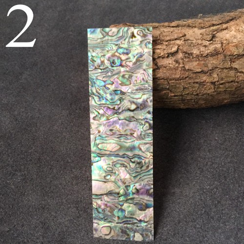 Natural abalone shell - abalone, inlay