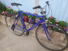 Certini Italian Columbus