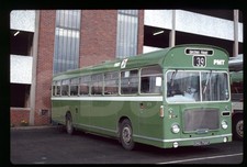 Original Bus Slide - PMT