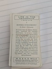 Imperial Publishing Wills