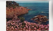 BF31562 cote de l esterel var cote d azur  france front/back image