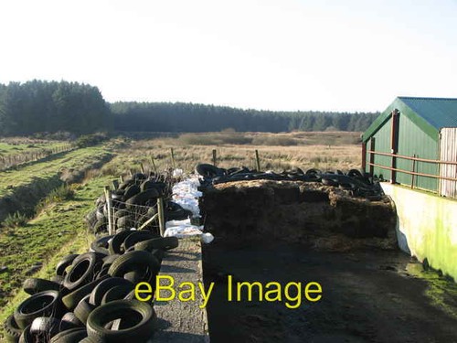 Photo 6x4 silage pit - photo, carneatly