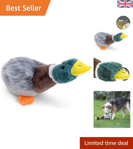 Squeaky duck plush toy - squeaky,
