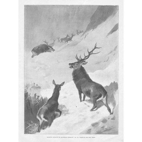 Archibald thorburn sporting - thorburn,