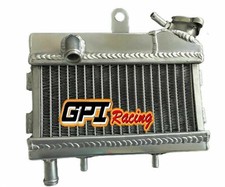 Aluminum Radiator for Polini
