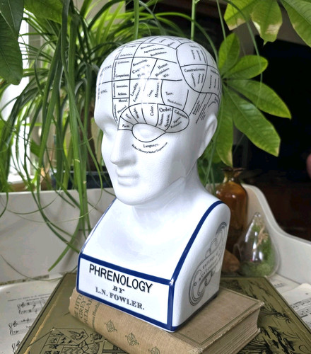 Phrenology head fowler - head,