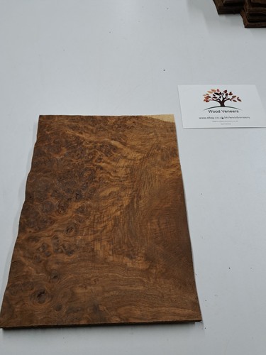 Natural wood burr - burr, veneer