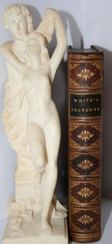 1880 the natural history - the, &