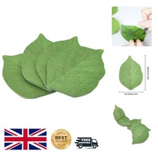 Natural Green Leaf-Shaped