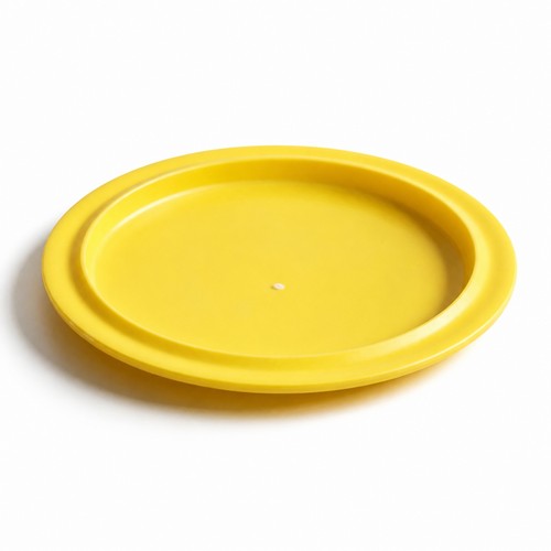 Flying golf disc long - flying,