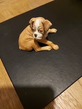 Border Fine Arts Studio - Dogs & Pups boxer pup