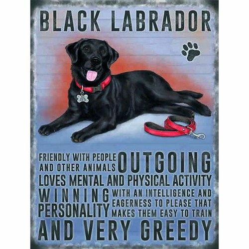 Black labrador fridge - labrador,