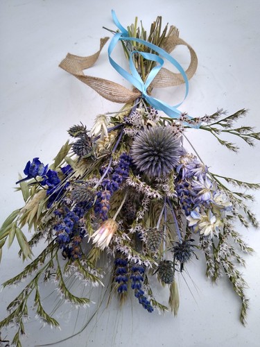 Dried flower blue - flower, purple