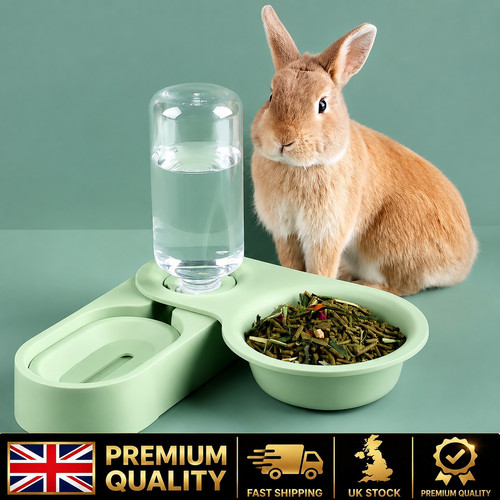 Rabbit guinea pig - guinea,