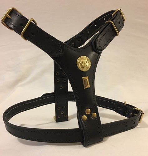 Dog harness real - dog,
