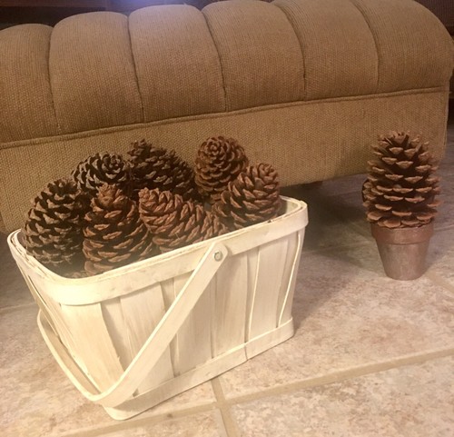 Pine cone giant floral - pine,