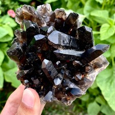 1.3LB Natural smoky black