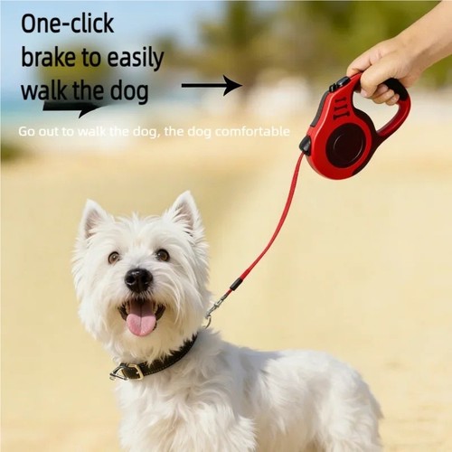 Retractable dog lead - dog,