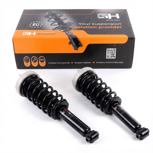 Complete struts assembly - complete,