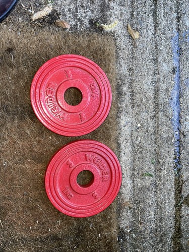Weider 2x1kg cast - 2x1kg, weight