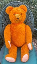Rare large old - old, bear