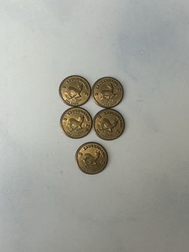Mini krugerrand fine brass - 5,