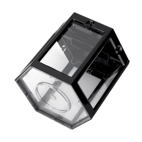 Small aquarium fish tank - fish, mini