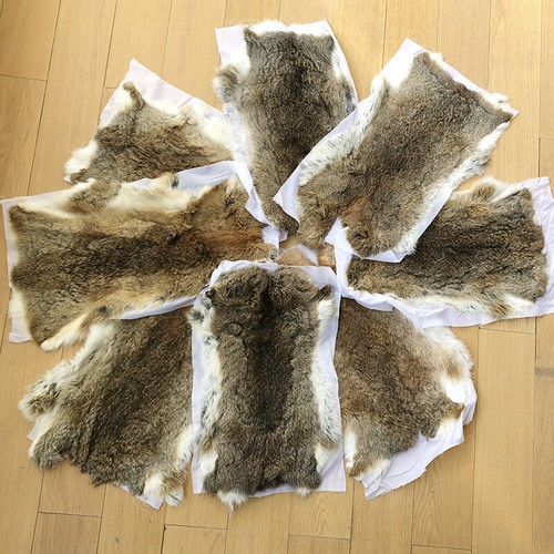 Real rabbit skin pelts - real,