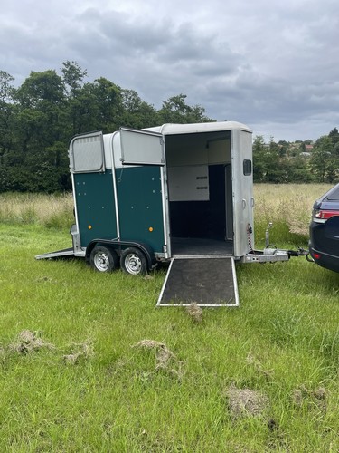 Ifor williams 505r horse - williams,