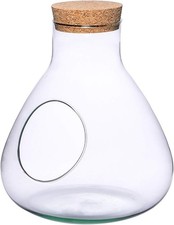 Bottle garden ecological - bottle,