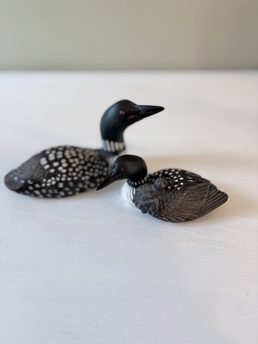 Common loon world champion - common, by