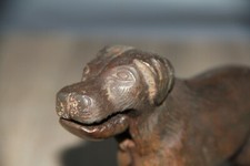 Antique Cast Iron Dog Nut
